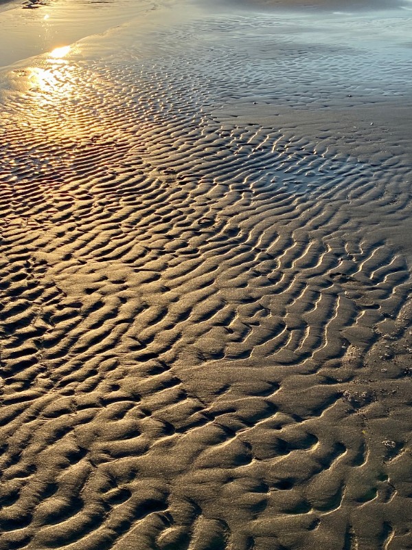 A photo of wet sand with ripple patterns . The low golden sunlight glints brightly off a smooth, shallow patch of water in the upper left corner, casting deep, textured shadows across the ridges of the sand.