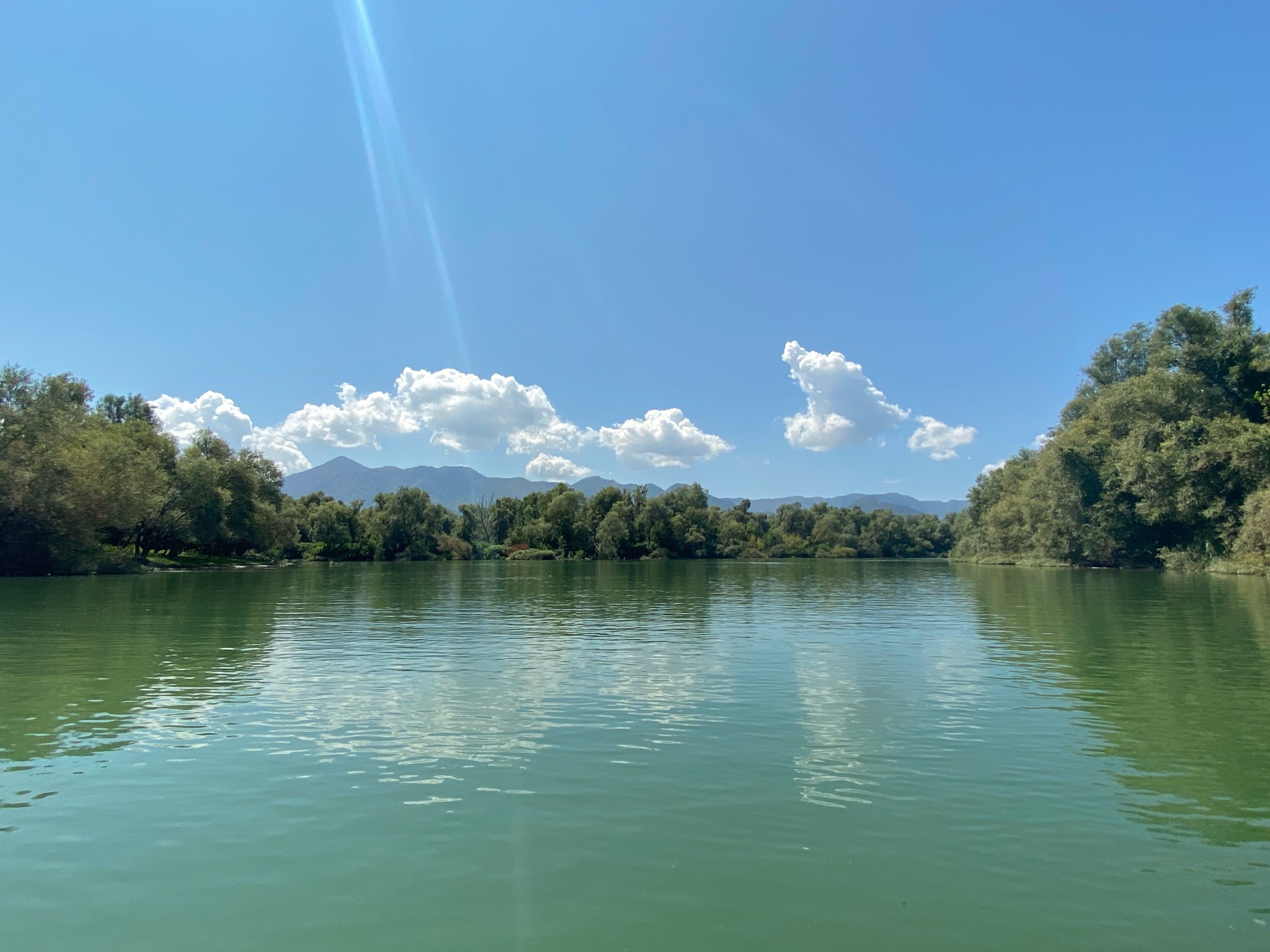 A photo of a wide, calm green river surrounded by dense green trees under a bright blue sky with scattered white clouds and distant mountains.