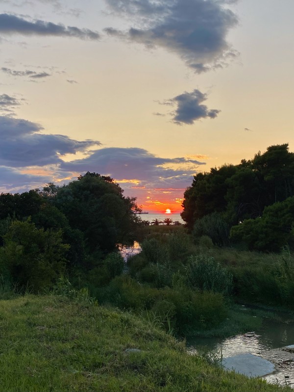 A photo of a vibrant sunset over the horizon, framed by dense green trees and foliage in the foreground. The sun glows a bright orange-red as it sets, reflecting lightly on a small stream that runs through the grassy area, under a sky filled with scattered gray and white clouds.
