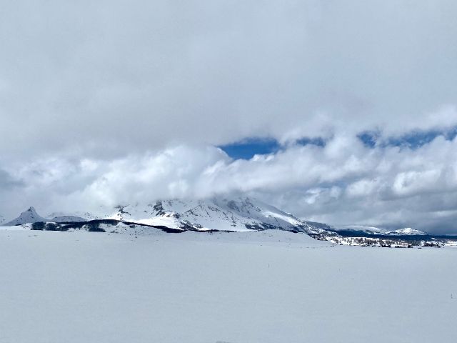 Snowy