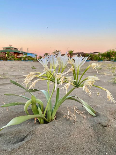They turned to sand