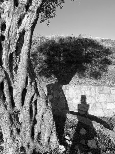 The road less walked